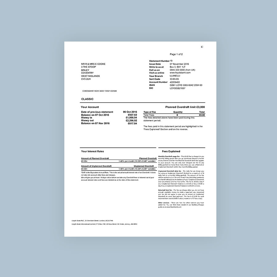 fake bank statement pdf
